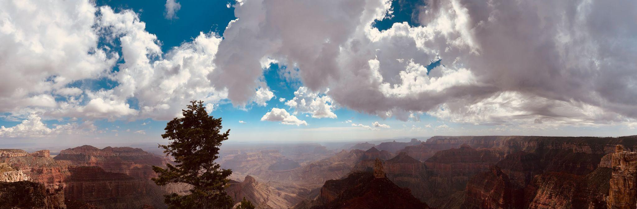 Panoramic view of the Grand Canyon under a cloudy sky